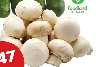 Giant Tiger 8 oz Whole White Mushrooms offer
