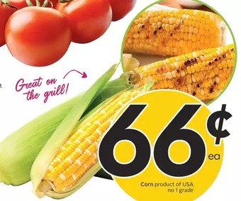 Sobeys Corn offer