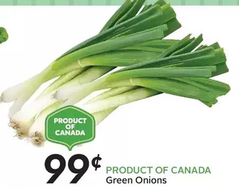 Sobeys Green Onions offer