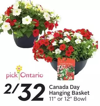 Sobeys Canada Day Hanging Basket offer