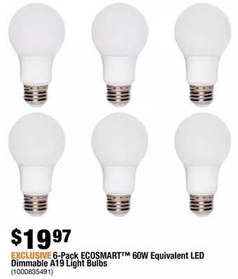 Home Depot 6-Pack Ecosmart 60W Equivalent LED Dimmable A19 Light Bulbs offer
