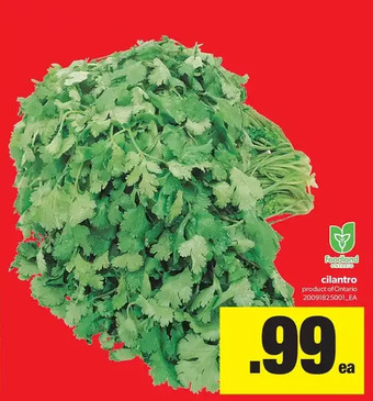 Real Canadian Superstore Cilantro offer