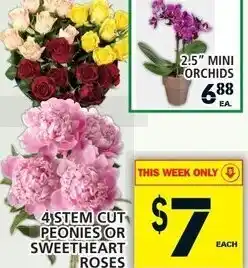 Food Basics 4 Stem Cut Peonies or Sweetheart Roses offer