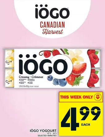 Food Basics Iogo Yogourt offer