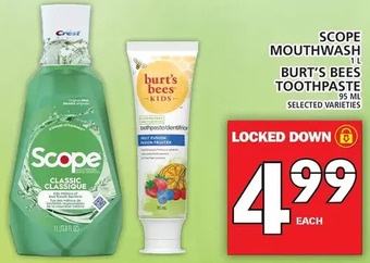 Food Basics Scope Mouthwash | Burt's Bees Toothpaste offer