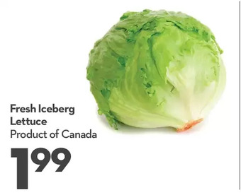 Longo's Fresh Iceberg Lettuce offer