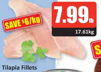 Starsky Tilapia Fillets offer