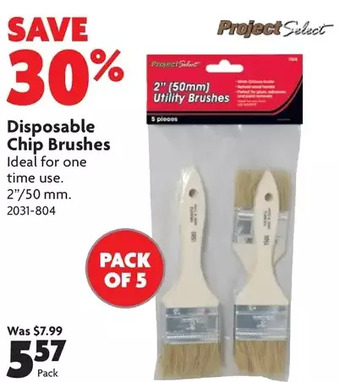 Home Hardware Disposable Chip Brushes offer