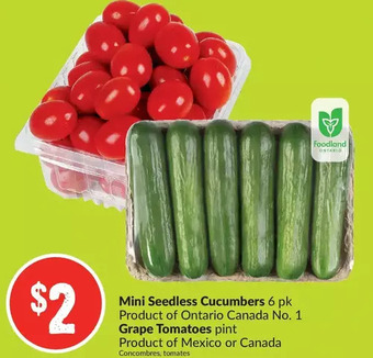 FreshCo Mini Seedless Cucumbers | Grape Tomatoes offer