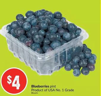 FreshCo Blueberries offer