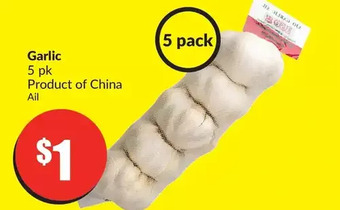 FreshCo Garlic offer