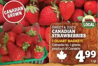 Farm Boy Canadian Strawberries offer