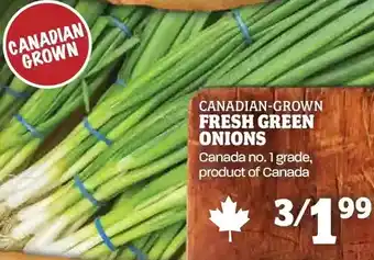 Farm Boy Fresh Green Onions offer
