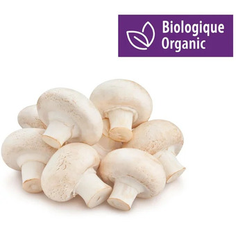 Walmart Your Fresh Market Whole White or Brown Mushrooms | Organic Whole White or Brown Mushrooms offer