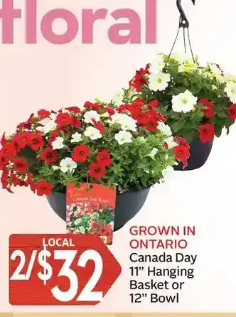 Foodland Canada Day 11" Hanging Basket or 12" Bowl offer