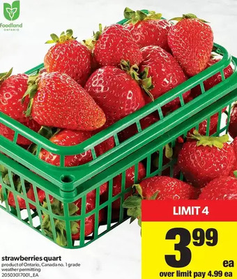 Real Canadian Superstore Strawberries Quart offer