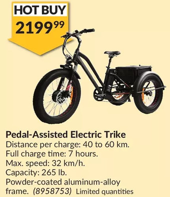 Princess Auto Pedal-Assisted Electric Trike offer