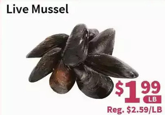 Blue Sky Supermarket Live Mussel offer