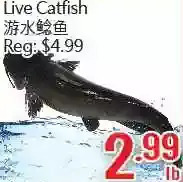 Hong Tai Supermarket Live Catfish offer