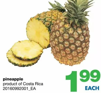 Wholesale Club Pineapple offer