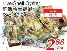 Tone Tai Supermarket Live Shell Oyster offer