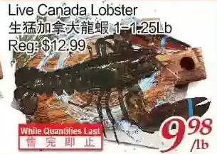 Tone Tai Supermarket Live Canada Lobster offer