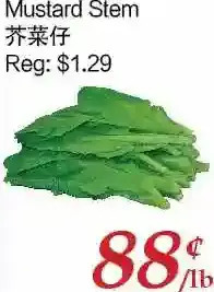 Tone Tai Supermarket Mustard Stem offer