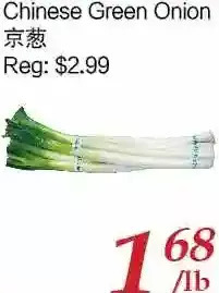 Tone Tai Supermarket Chinese Green Onion offer