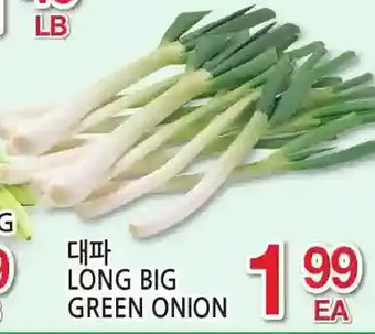 H-Mart Long Big Green Onion offer