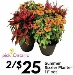 Sobeys Summer Sizzler Planter offer