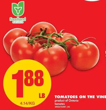 No Frills Tomatoes on the Vine offer