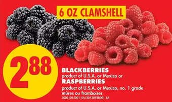 No Frills Blackberries or Raspberries offer
