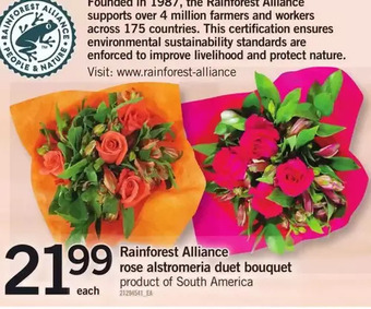 Fortinos Rainforest Alliance Rose Alstromeria Duet Bouquet offer