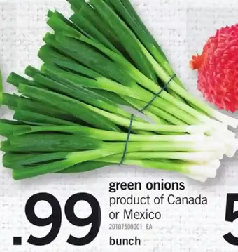 Fortinos Green Onions offer