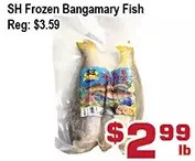 Top Food Supermarket Sh Frozen Bangamary Fish offer