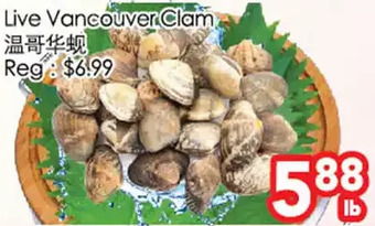 Superking Supermarket Live Vancouver Clam offer