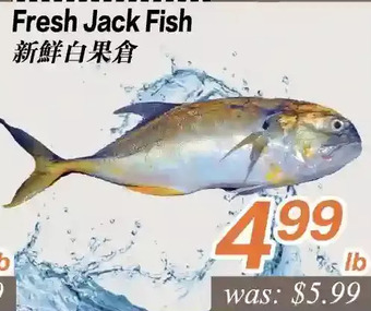 Seasons Foodmart Fresh Jack Fish offer