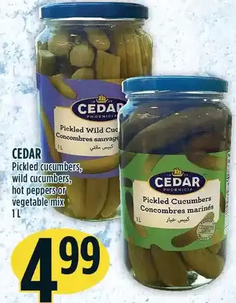 Marché Adonis Cedar Pickled Cucumbers, Wild Cucumbers, Hot Peppers or Vegetable Mix offer