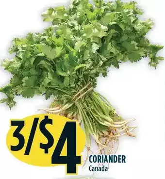 Marché Adonis Coriander offer