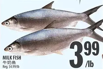 Al Premium Food Mart Milk Fish offer