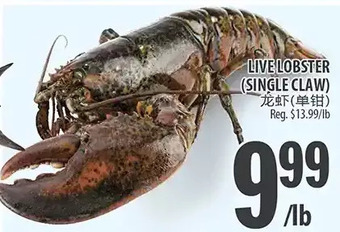 Al Premium Food Mart Live Lobster offer