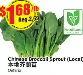 Btrust Supermarket Chinese Broccoli Sprout offer