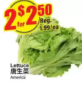 Btrust Supermarket Lettuce offer
