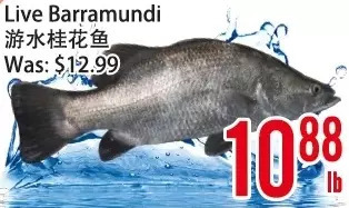 Bestco Food Mart Live Barramundi offer