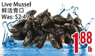 Bestco Food Mart Live Mussel offer