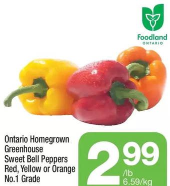 Highland Farms Ontario Homegrown Greenhouse Sweet Bell Peppers offer