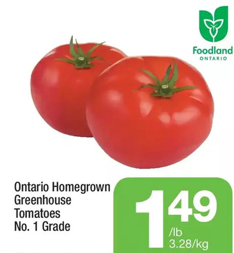 Highland Farms Ontario Homegrown Greenhouse Tomatoes offer