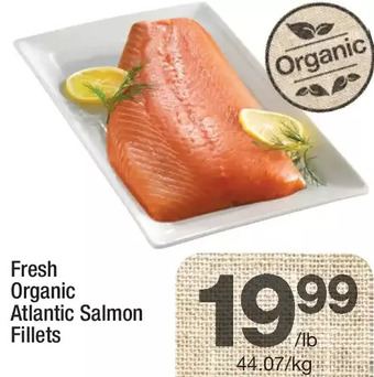 Highland Farms Fresh Organic Atlantic Salmon Fillets offer