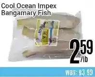 Nations Fresh Foods Cool Ocean Impex Bangamary Fish offer