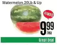 Nations Fresh Foods Watermelon offer
